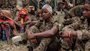 Read more about the article All You Need to Know About the Ethiopia- Amhara War? | The African Exponent.