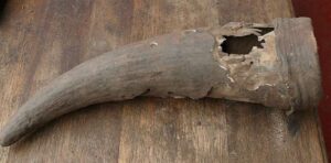 Read more about the article 500-Year-Old Horn Discovered in South Africa Proves African Civilization Before Colonialism